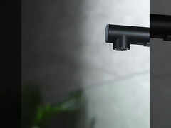 Pull Down Kitchen Faucet
